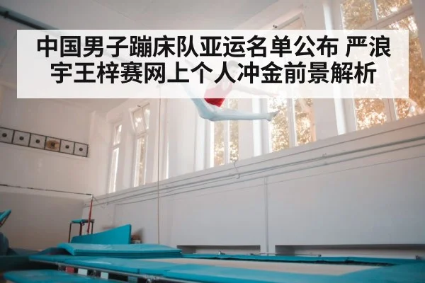 trampoline gymnastics